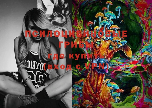 дмт Пенза