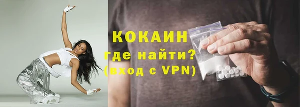 шишки Лагань