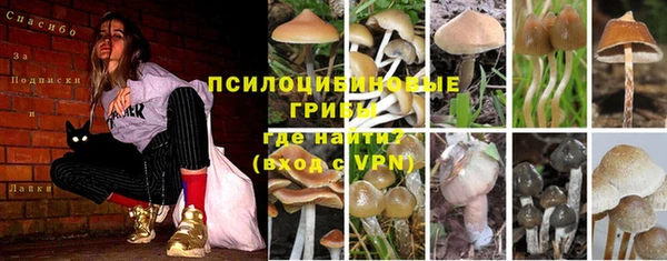 крисы Лабытнанги