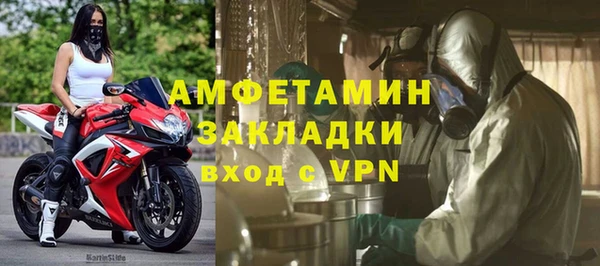 шишки Лагань