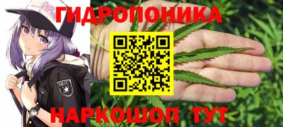 apvp Апшеронск