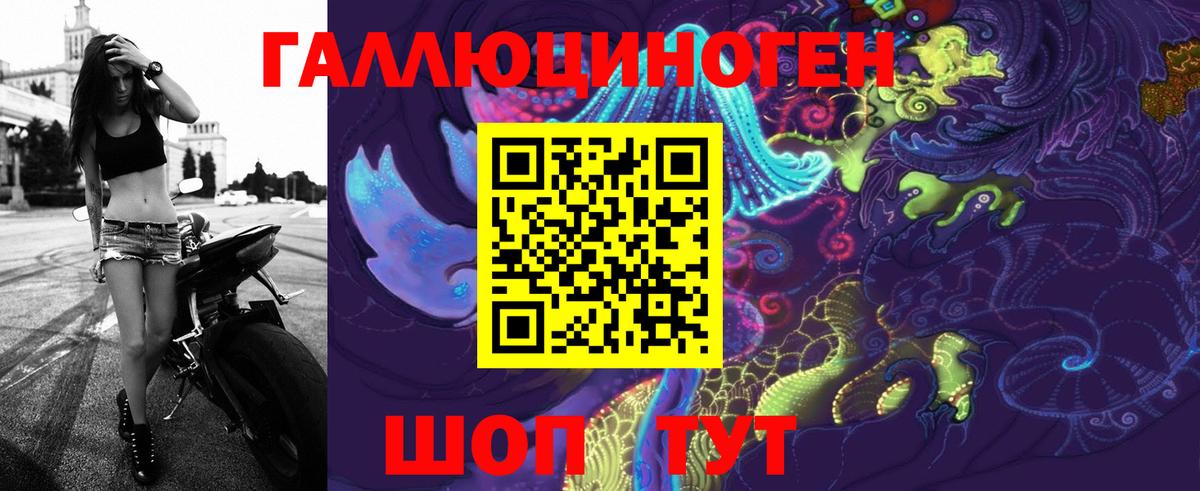 Галлюциногенные грибы Psilocybe Братск