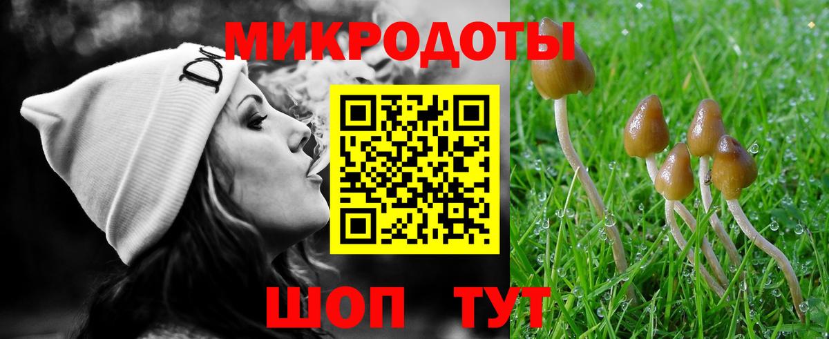 Братск  Галлюциногенные грибы GOLDEN TEACHER  Псилоцибиновые грибы мицелий  Вход с VPN 